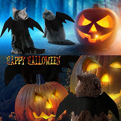 Halloweens flagermusvinge-kostumetilbehør til katte og små hunde