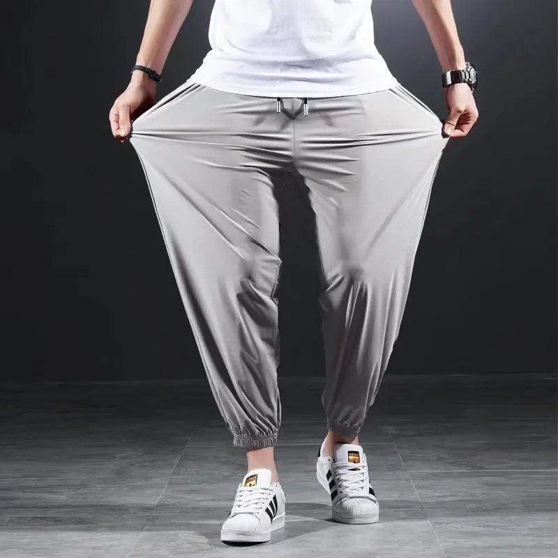 Ultra-Comfort Ice Silk Stretch Pants Light Gray