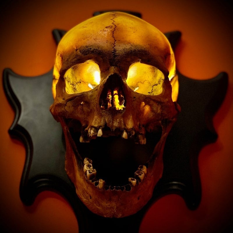 Halloween's LED Glow Skull Nightlight with Sound Module