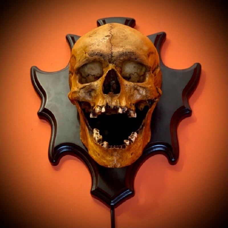 Halloween's LED Glow Skull Nightlight with Sound Module