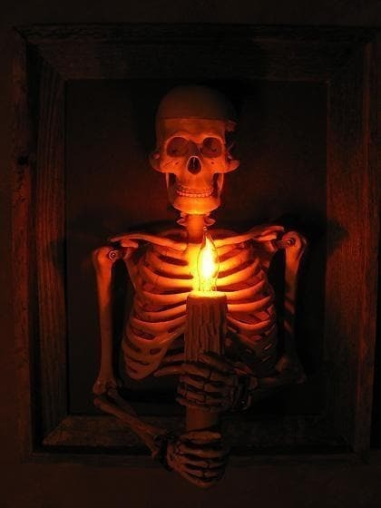 Halloween's Framed Skeleton Torso Wall Decor with Flashing Candle Light
